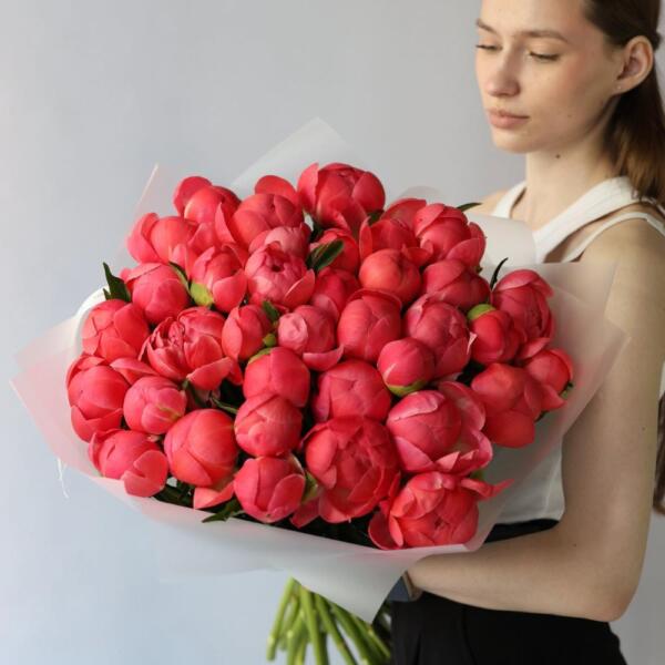 Coral Peony - 49 пионов