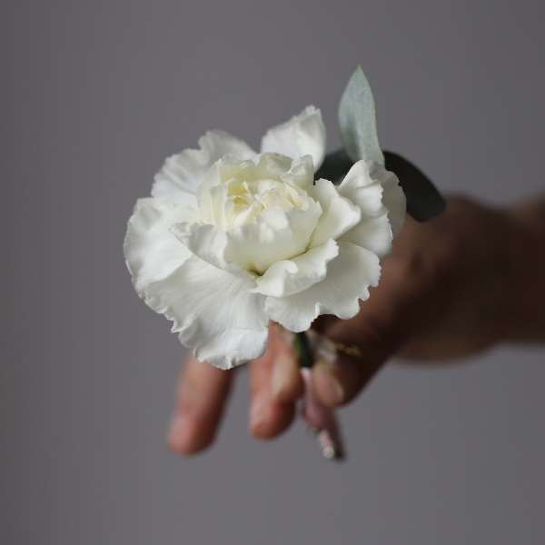 Bridal bouquet of carnations   - Бутоньерка