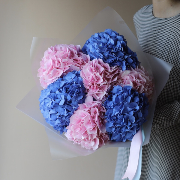 Bouquet of Colorful Hydrangeas - 7 гортензий