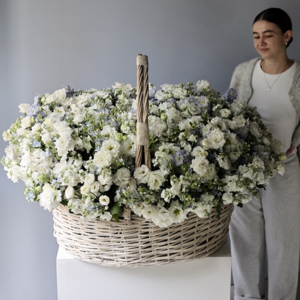 White Signature basket - Размер между 5XL