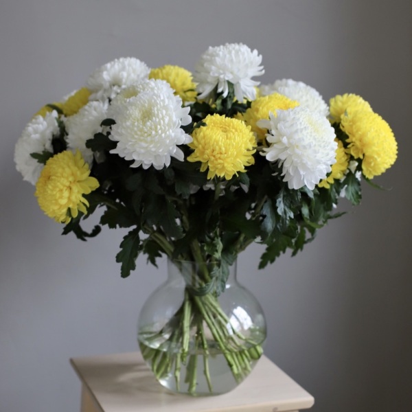 Large Chrysanthemum in a vase -  29 хризантем 