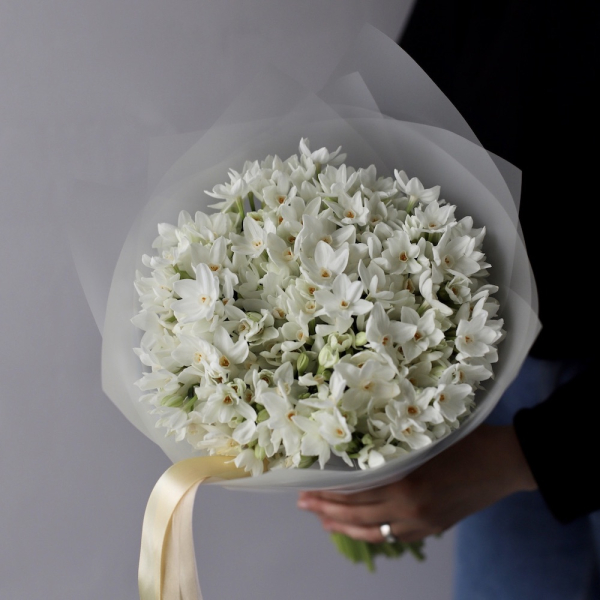 White spray Daffodils - 99 нарциссов
