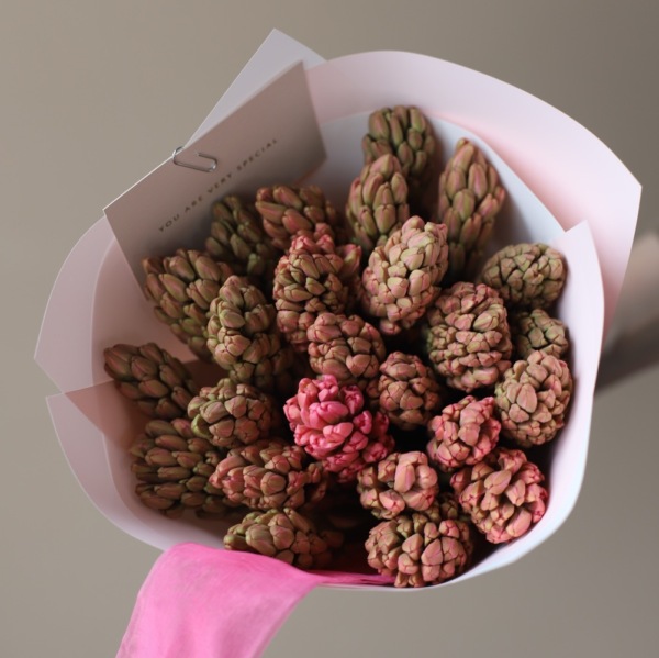 Red Hyacinthus - 25 гиацинтов 