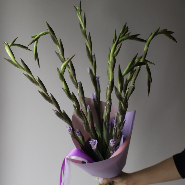 Lilac Gladiolus -  9 гладиолусов 