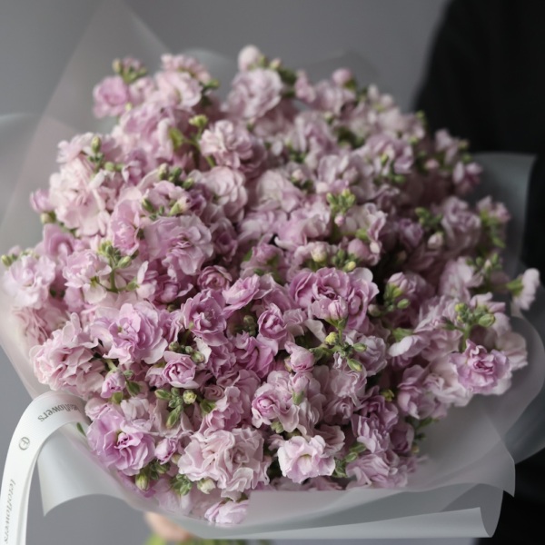 Spray Stock - 19 маттиол