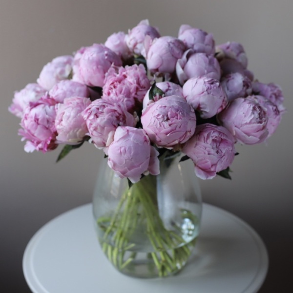 Pink Peonies in a vase - 19 пионов