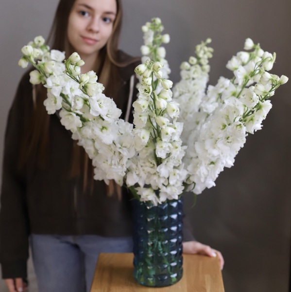 Delphinium in a vase - 9 дельфиниумов (ваза может отличаться)