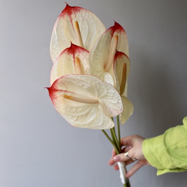 Bridal bouquet of Anthurium -  Размер S 