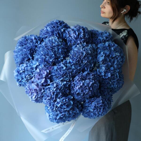 Blue Hydrangea - 15 гортензий