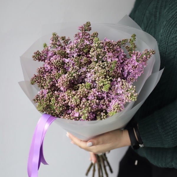 Purple Lilac - 9 сиреней