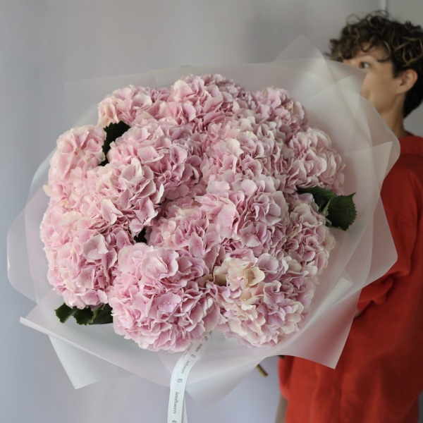Pink Hydrangea -  9 гортензий 