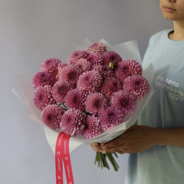 Pink Dahlia -  25 георгин 