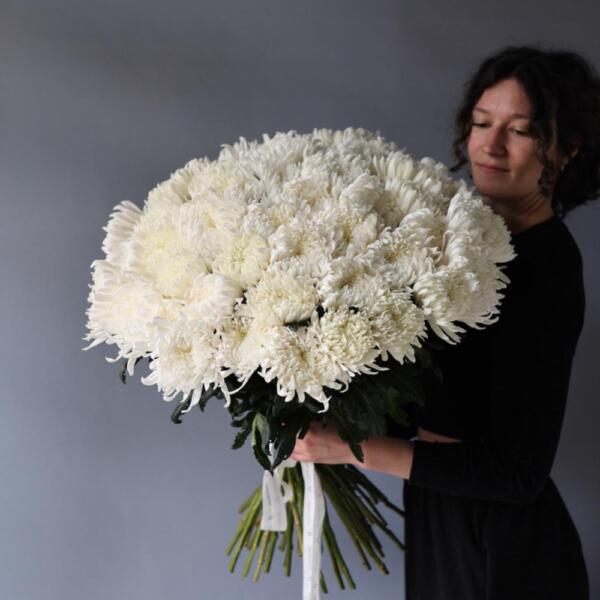Large white Chrysanthemum - 49 хризантем