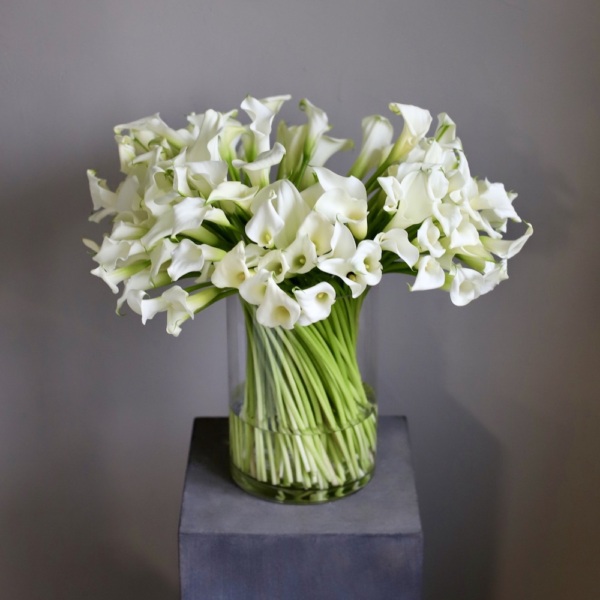 Calla Lilies in a vase - 101 калла 