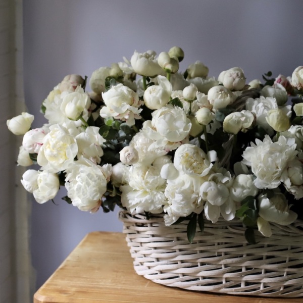 Basket of gentle Peonies - Размер 3XL 
