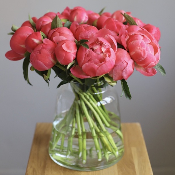 Peony in a vase - 29 пионов