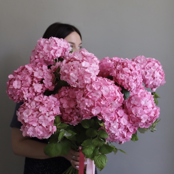 Bright pink Hydrangea -  15 гортезий 