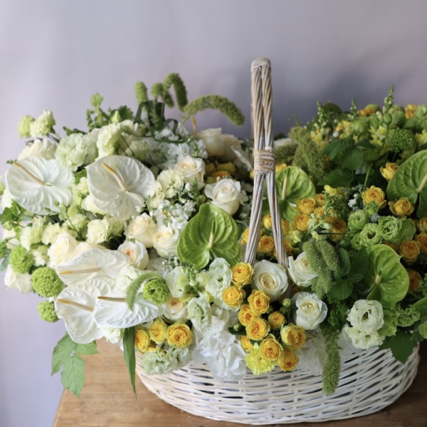 Sunny Signature basket - Размер между 5XL и 6XL