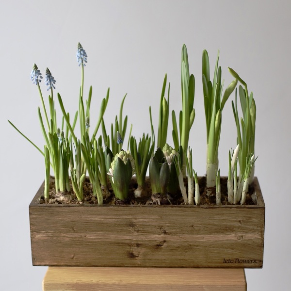 Spring flowers in a woody box - Размер L