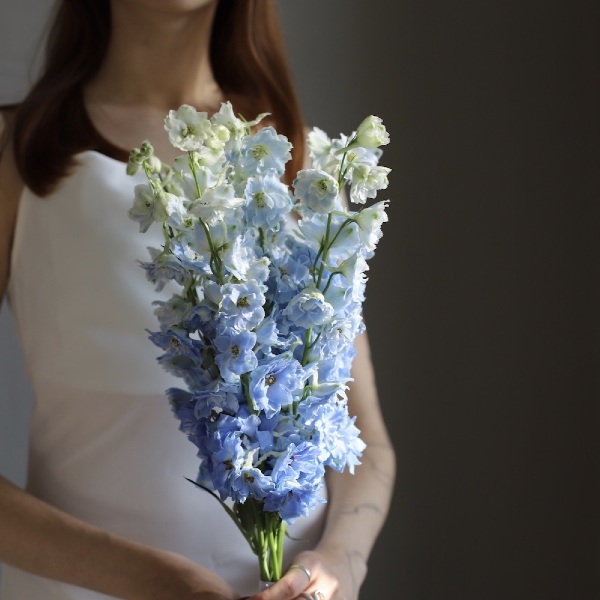 Bridal bouquet of Delphinium - Размер S