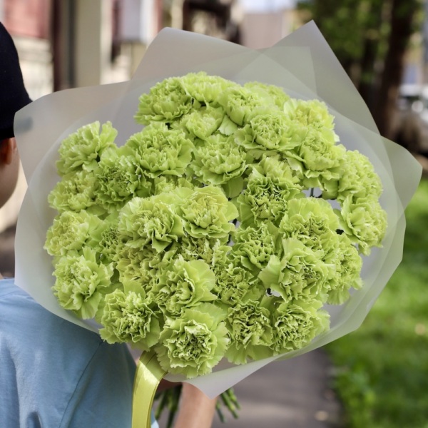 Green Carnations -  39 гвоздик 