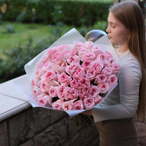 Pink Ohara Garden Rose - 47 роз