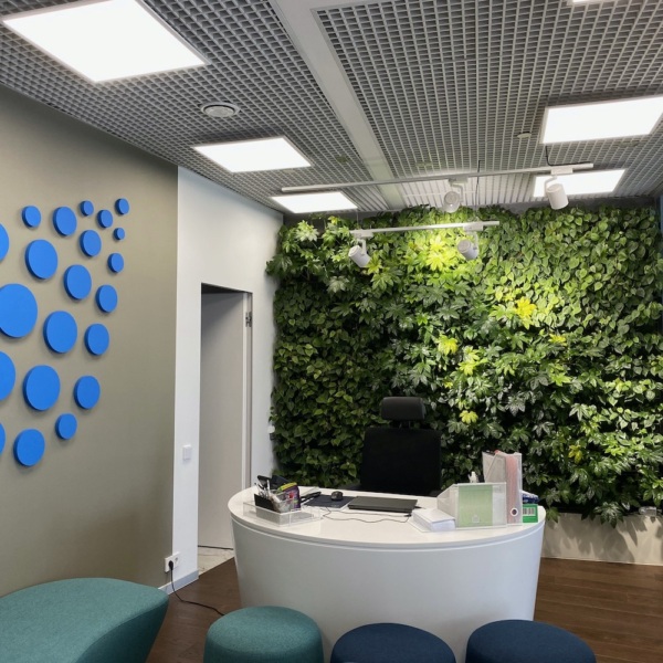 Vertical garden