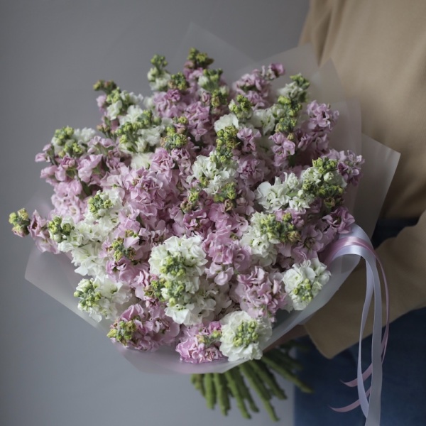 Mixed color Stock -  19 маттиол 