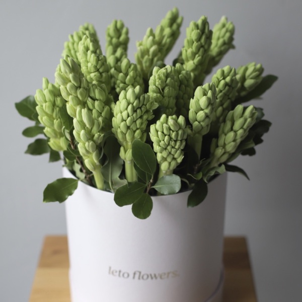Hyacinths in a hat box - Размер L 
