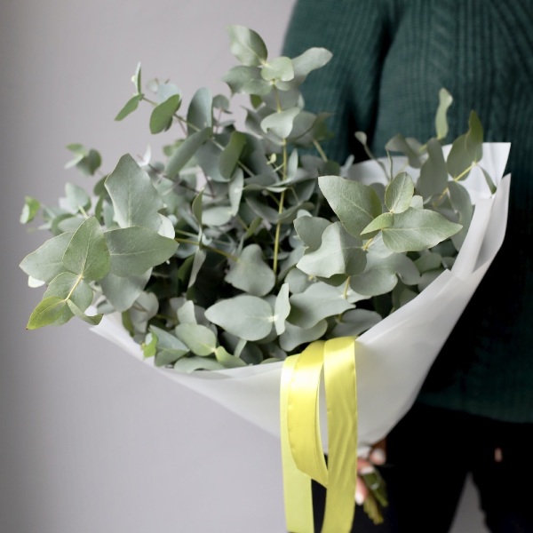 Bouquet of eucalyptus