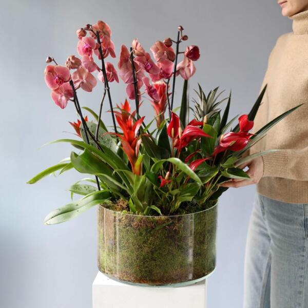 Arrangement 'Tropical Mix'