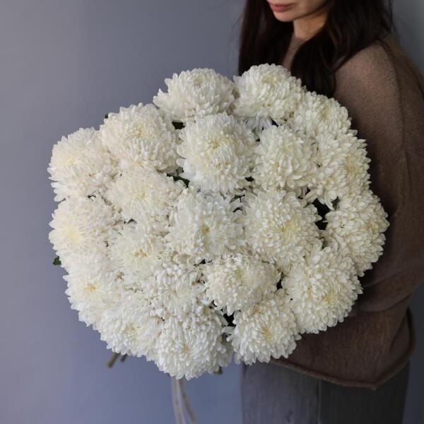 Large white Chrysanthemum - 19 хризантем