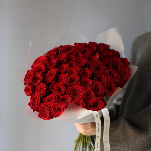 Red roses - 59 роз