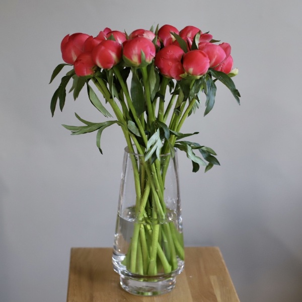 Peony in a vase - 19 пионов