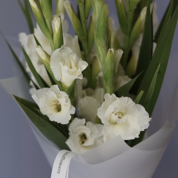 White Gladiolus -  9 гладиолусов 