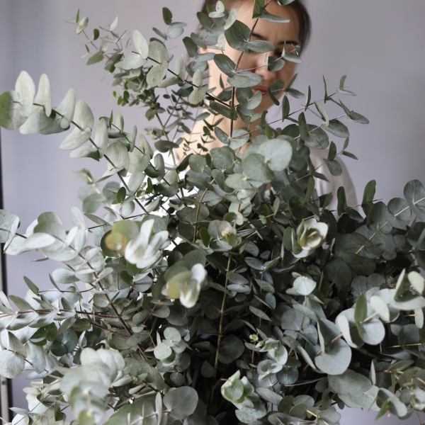 Greenery on a florist taste - Эвкалипт, L