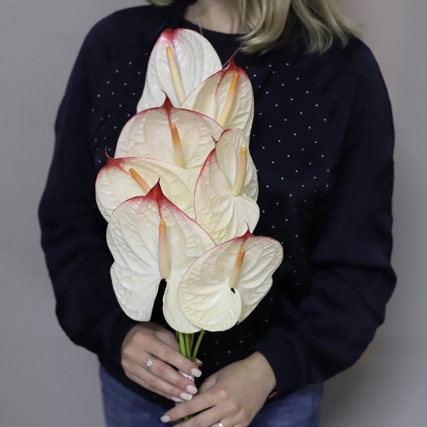 Bridal bouquet of Anthurium -  Размер M 