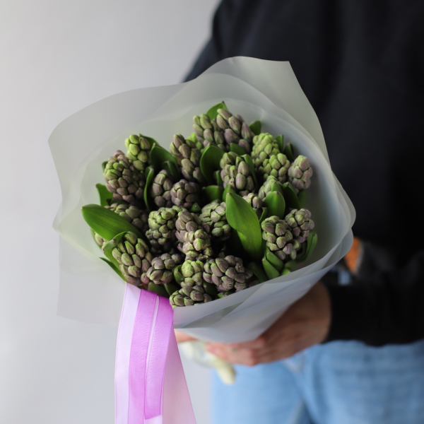 Purple Hyacinthus - 25 гиацинтов 