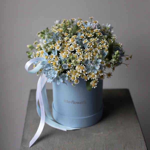 Chamomile with Oxypetalum in a hat box - Размер M