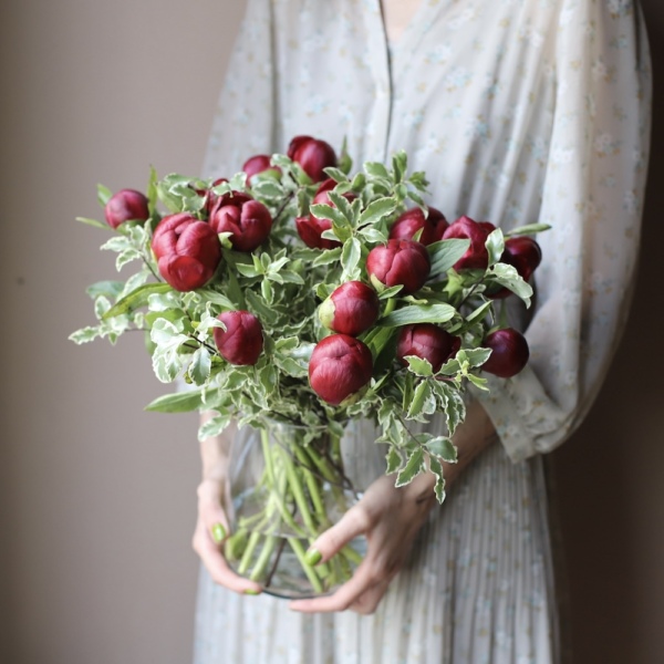 Burgundy Peonies in a vase - 15 пионов