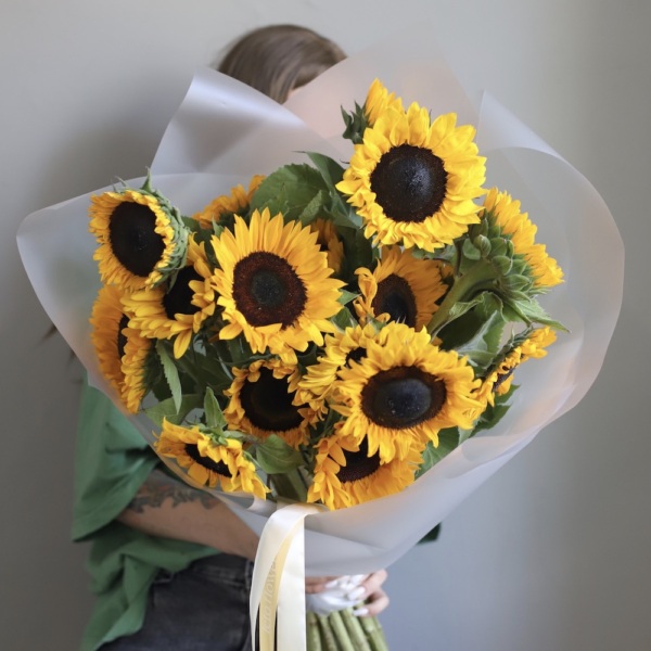 Sunflower - 19 подсолнухов