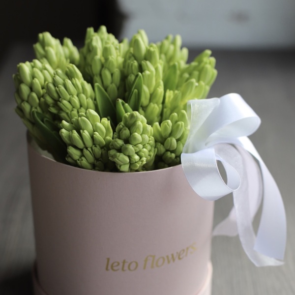Hyacinths in a hat box - Размер S