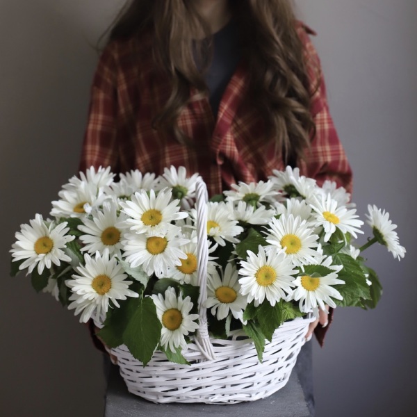 Basket of Chamomile - Размер M 