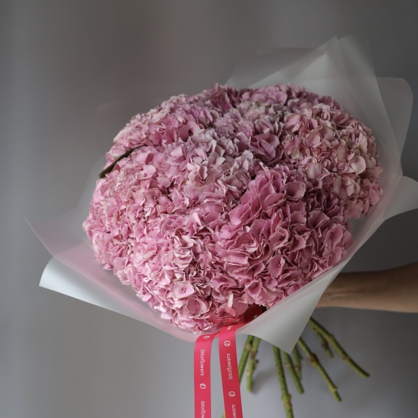 Bright pink Hydrangea -  9 гортезий 