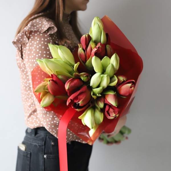 Mixed color Amaryllis - 15 амариллисов