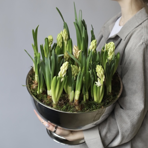 Spring flowers in a metal bowl