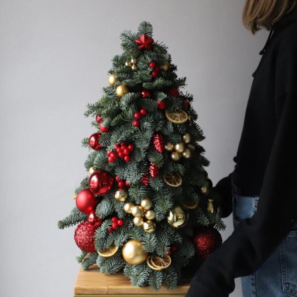 Christmas Tree 'Golden red' - 55 см