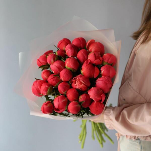 Coral Peony - 29 пионов