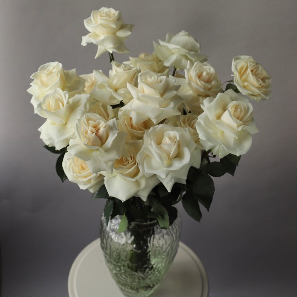 Bouquet of roses "Creamy Gelato" in a vase - 25 роз 