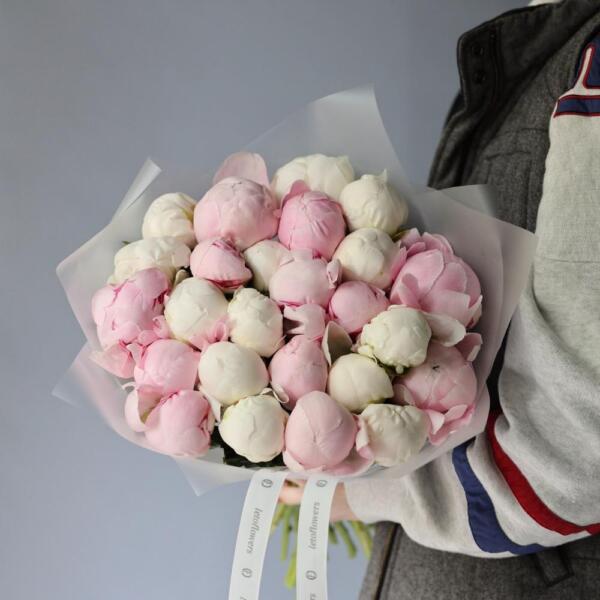 Mixed color Peony - 25 пионов